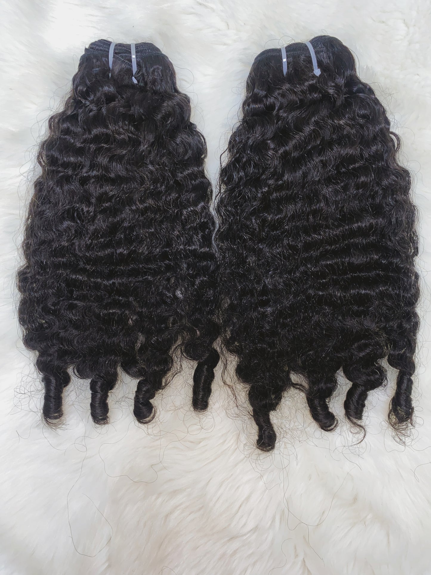 BURMESE CURLY