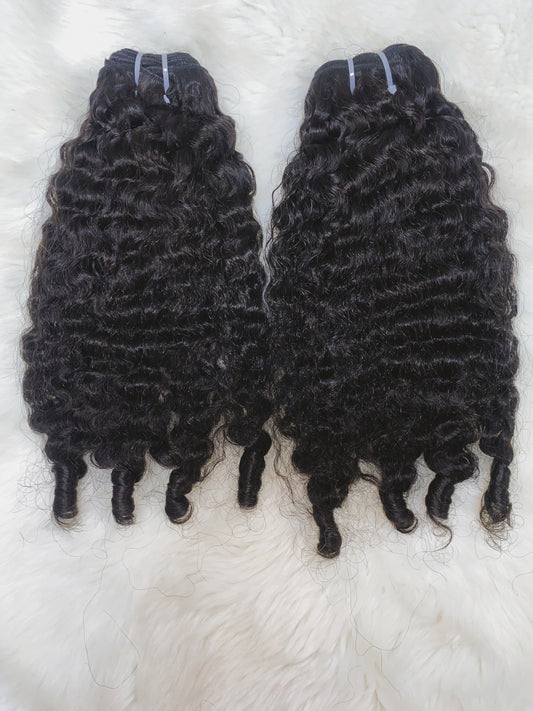 BURMESE CURLY
